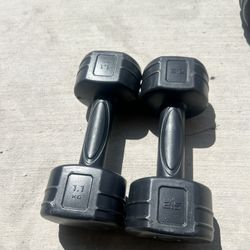2.5 Lbs Dumbbell Set