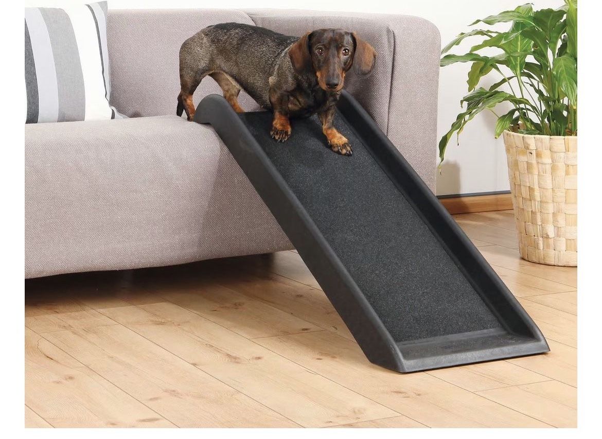 Dog ramp