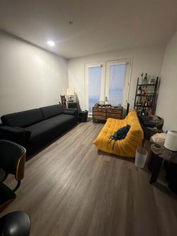 Two couches for sale