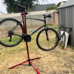 Giant Escape Bike 