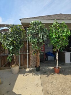 3 large artificial trees