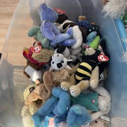 Beanie babies