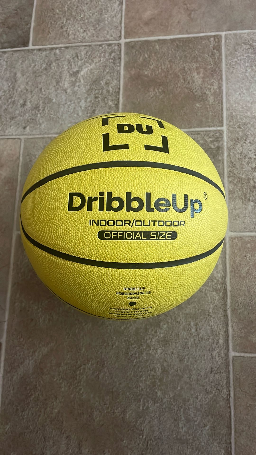 Official Dribble Up Basketball