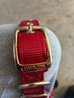 Hamilton Dog Collar.
