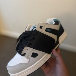 dvs 