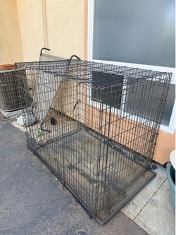 Big enough for a German Shepherd to stand in