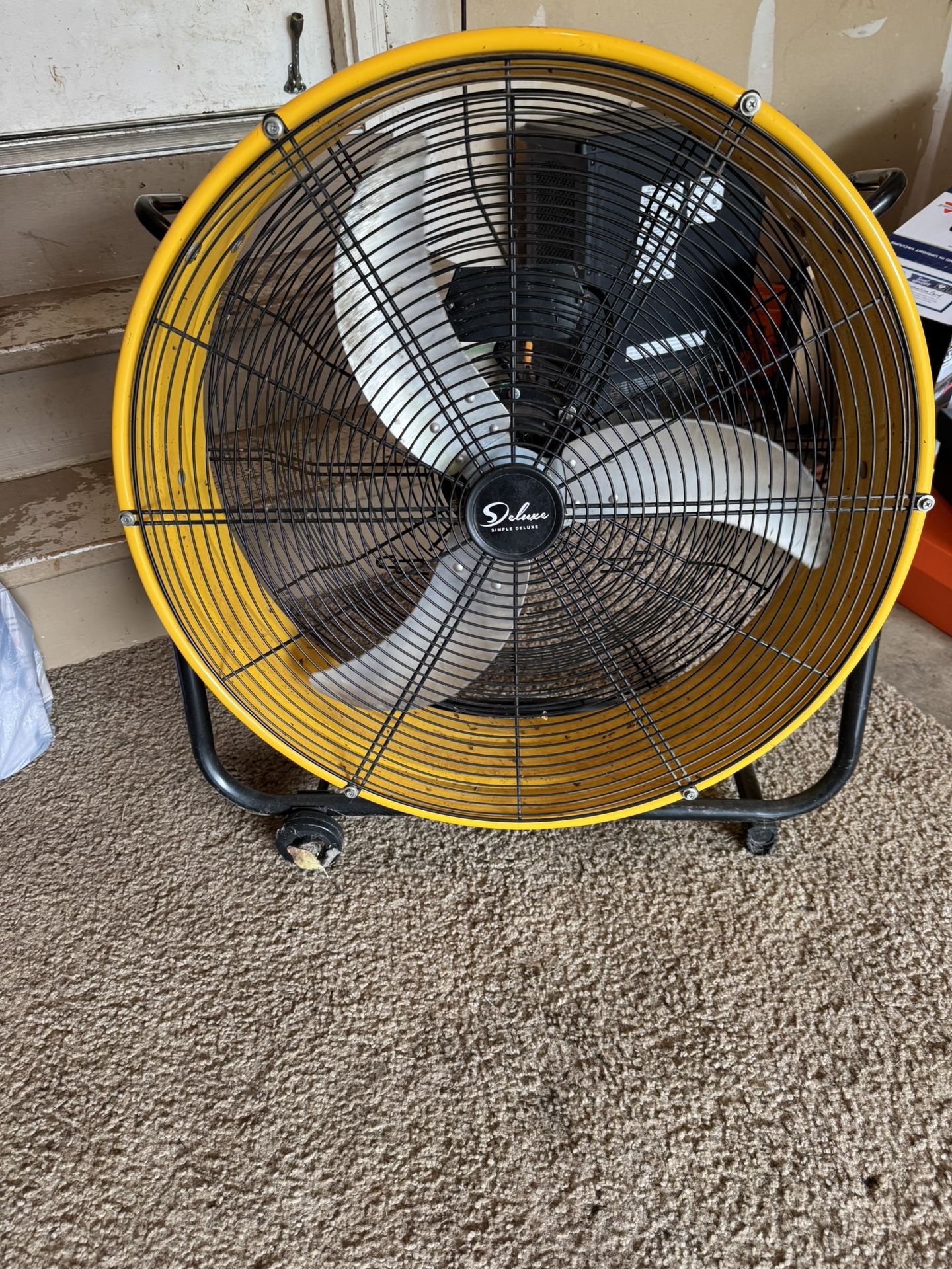 Fan