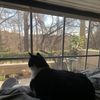 Lyla