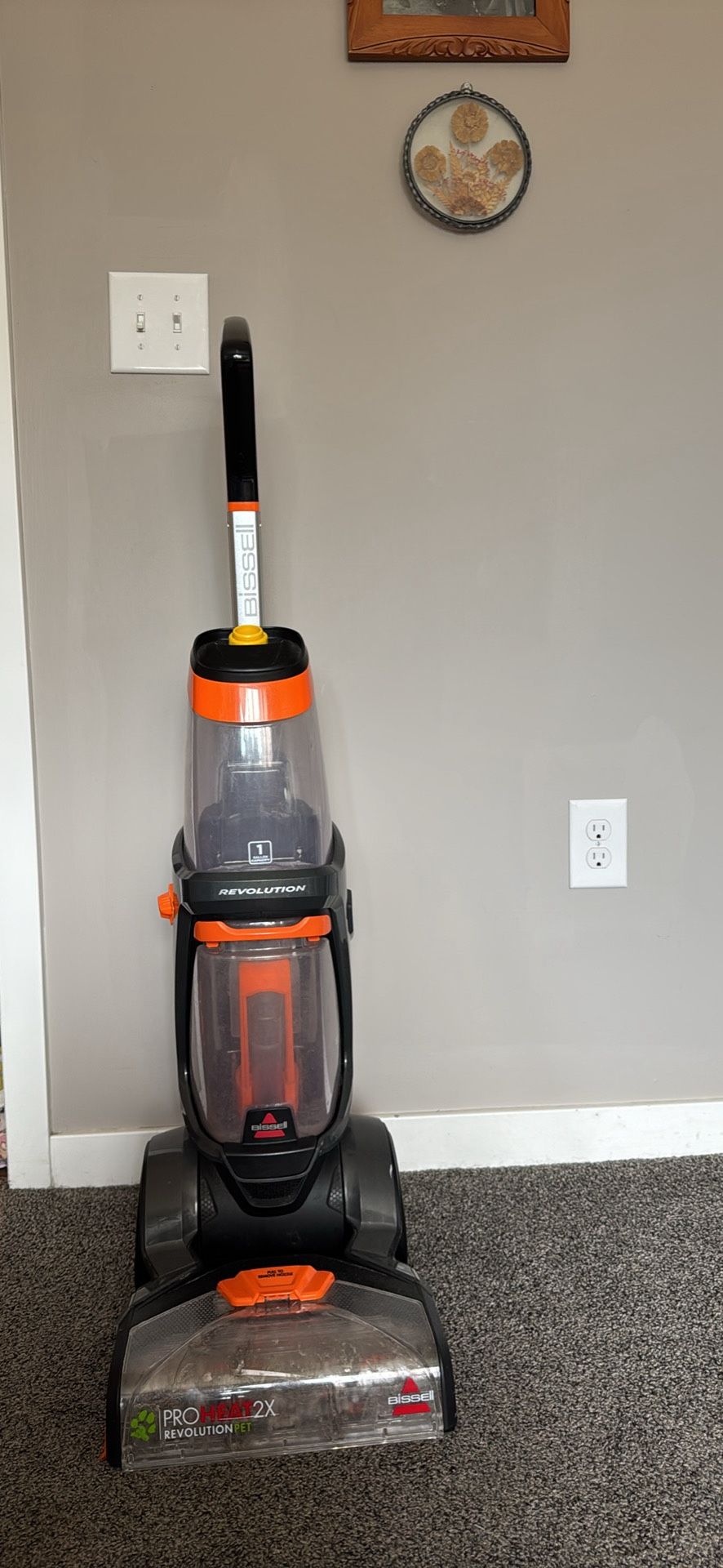 Carpet Cleaner 