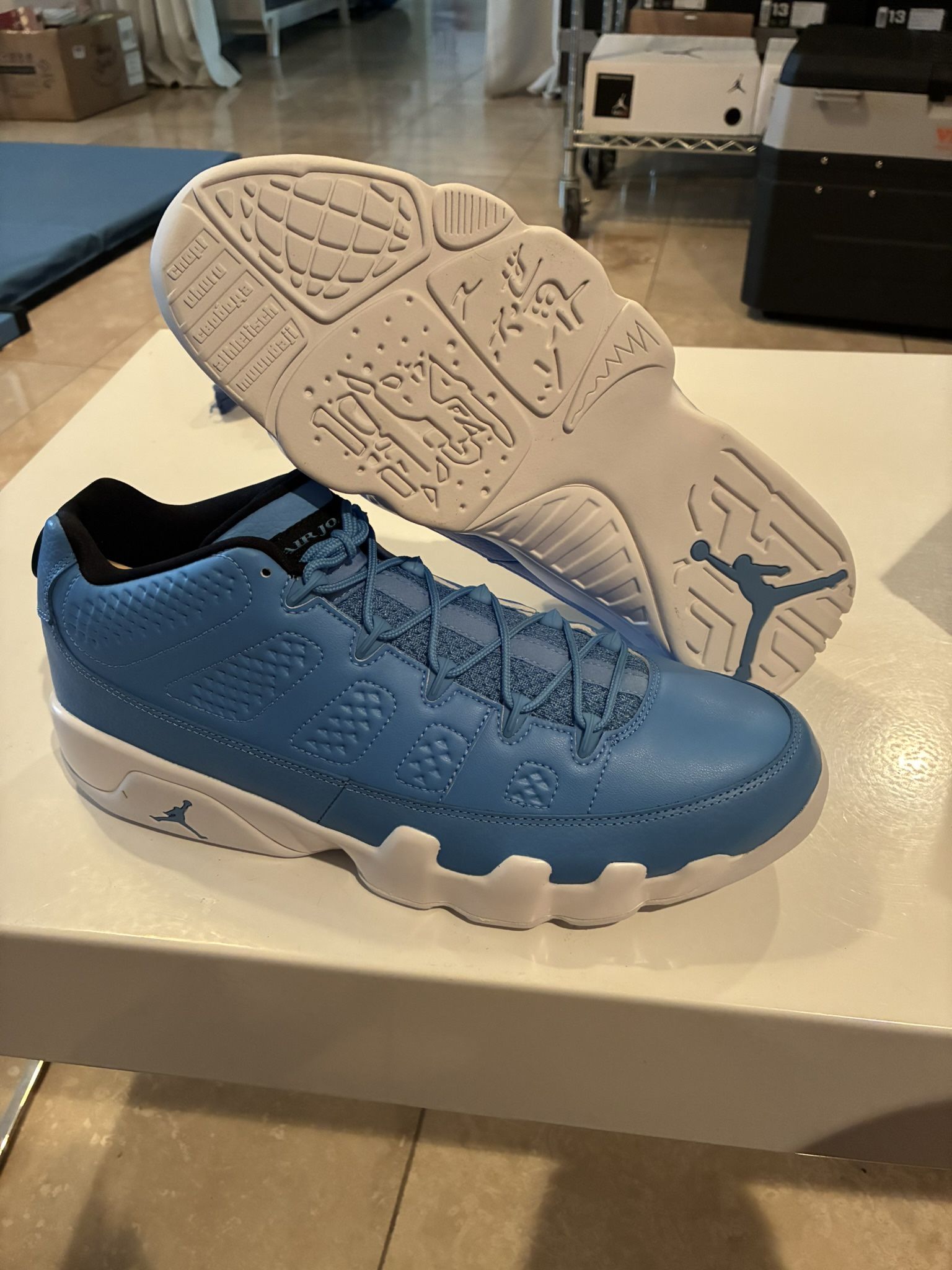 Nike Air Jordan 9 Retro Low - Pantone