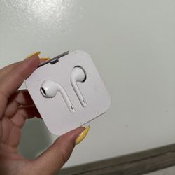 Apple Earphones 