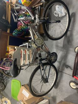 Mongoose Domain Bike