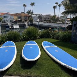 SUP (Stand Up Paddle Boards) 