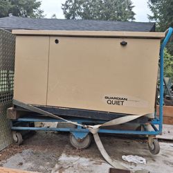 Generac QuietSource 16kW Standby Generator - 120/240V (Model 0052430)