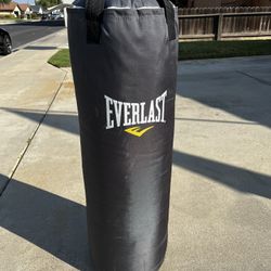 Everlast Punching Bag
