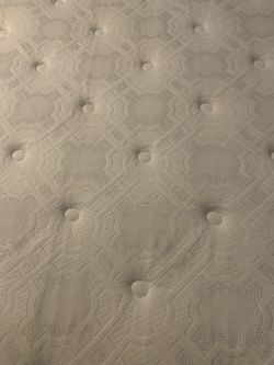 Sealy Mattress