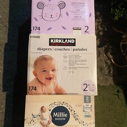 Kirkland Diapers Size 2 