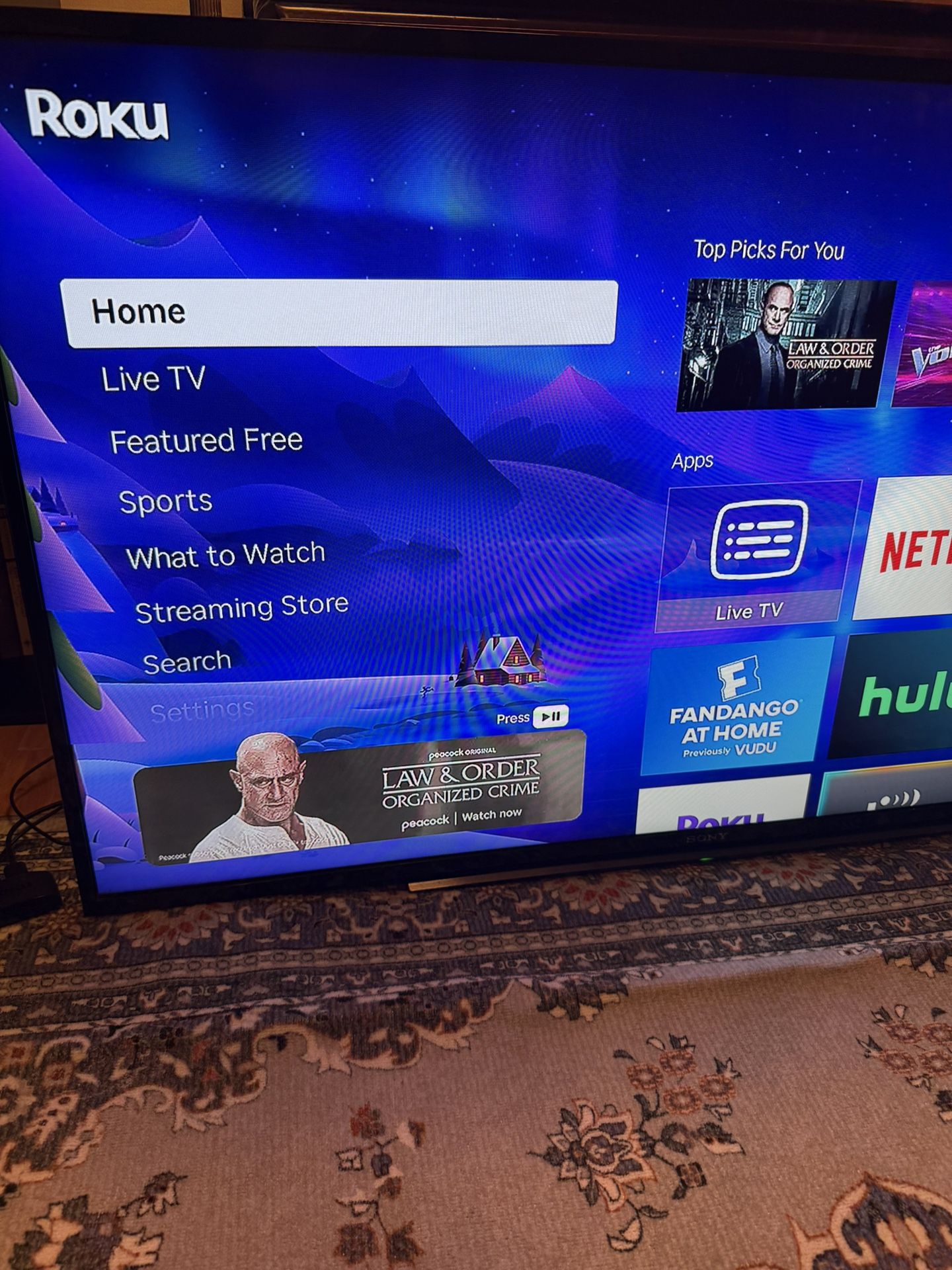 Sony 50 Inch Bravia TV - Great Condition