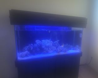 Fish tank