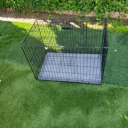 Cat/dog Cage