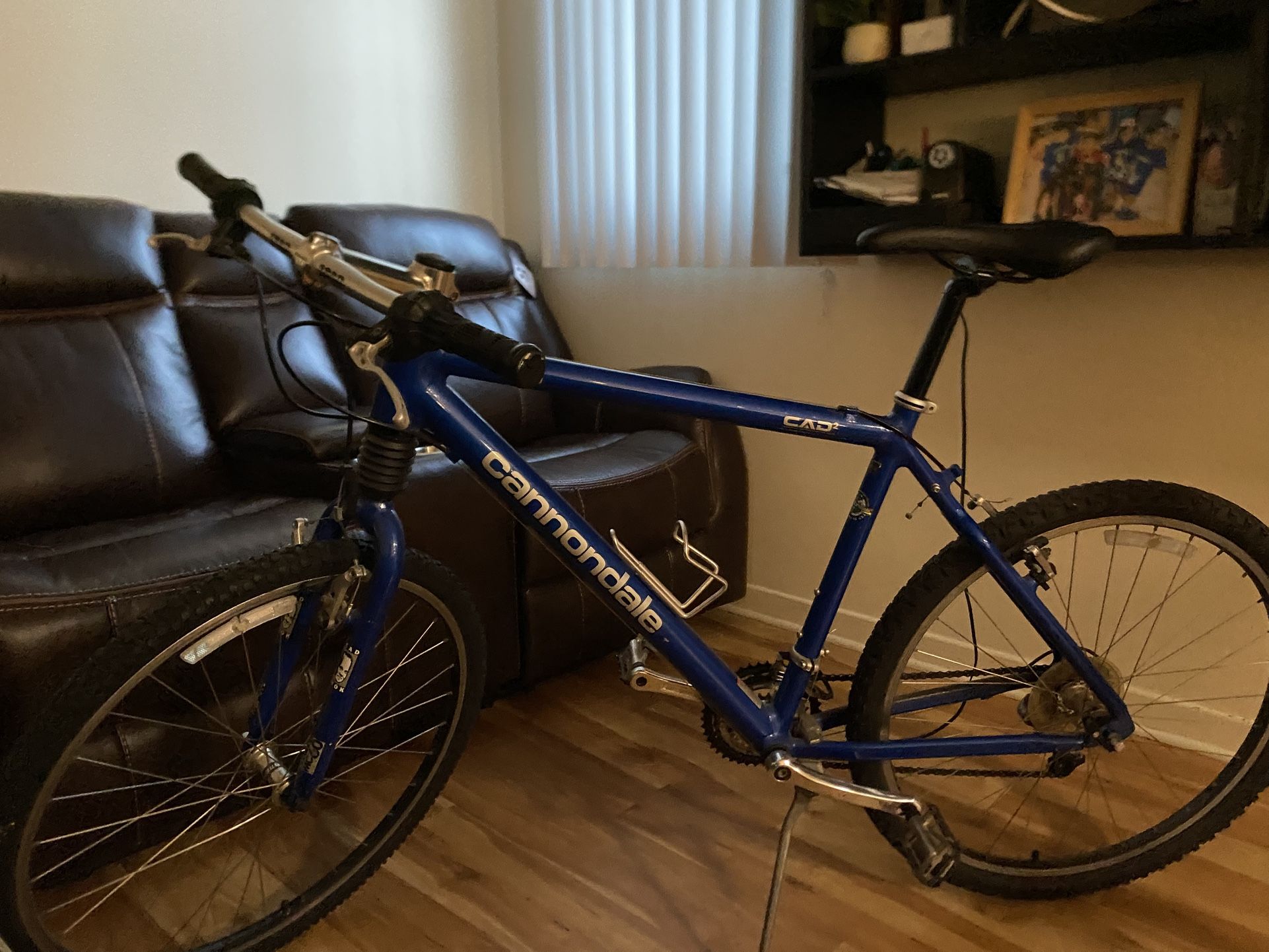 Cannondale Mountain Bike