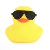 duCKIE
