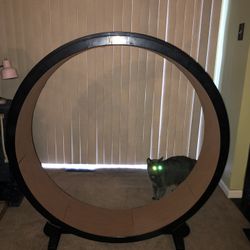 Cat Walking  Wheel 