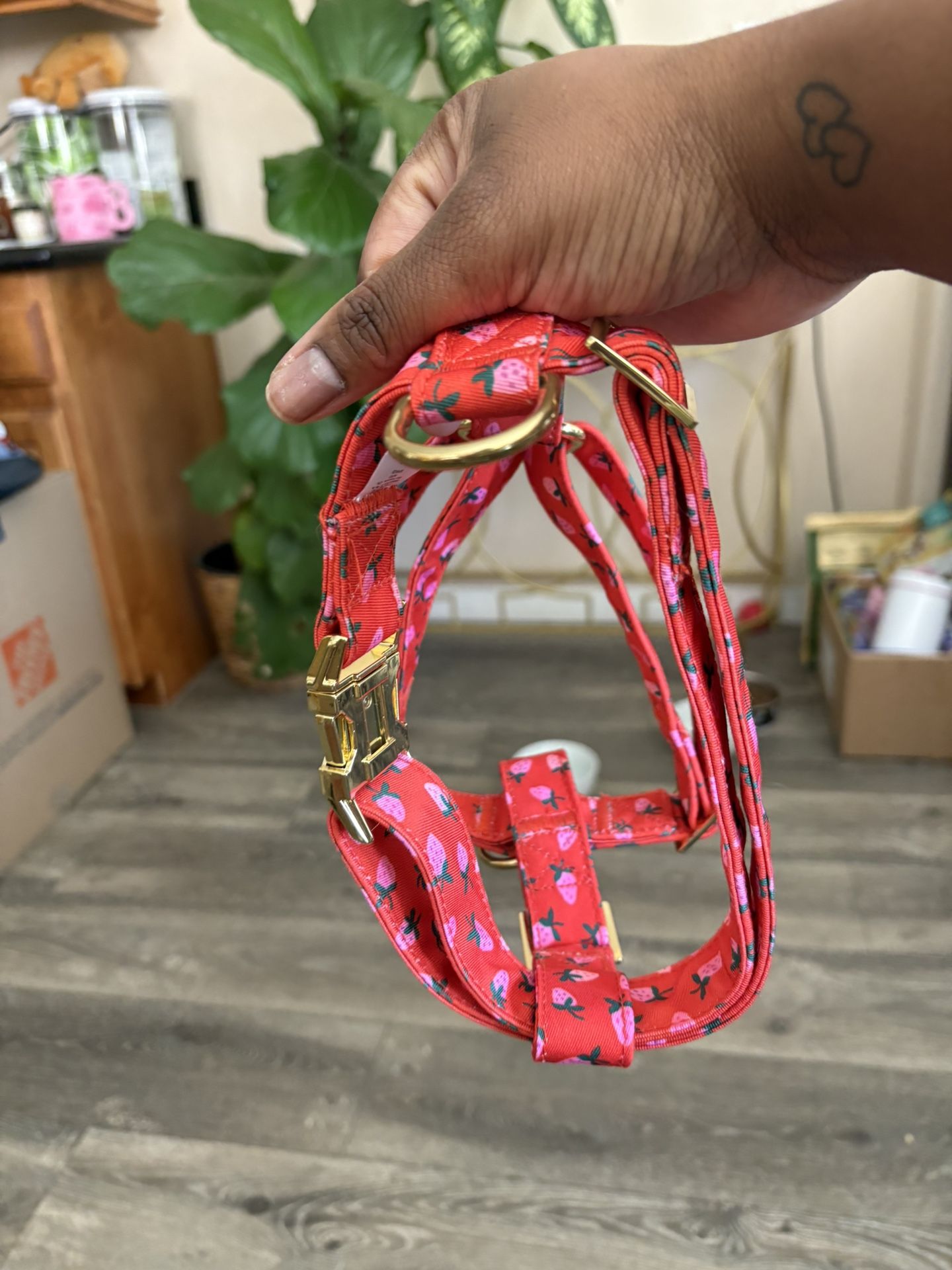 Dog Harness