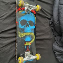 2012 POWELL PERALTA BLUE SKULL AND YELLOW SNAKE COMPLETE LIKE NEW 