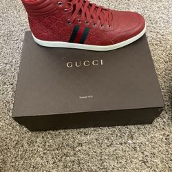 Gucci HiTops