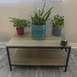 Sauder North Avenue Coffee Table, Charter Oak finish, L: 31.50" x W: 20.00" x H: 16.54"