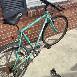 Nishik mountain bike