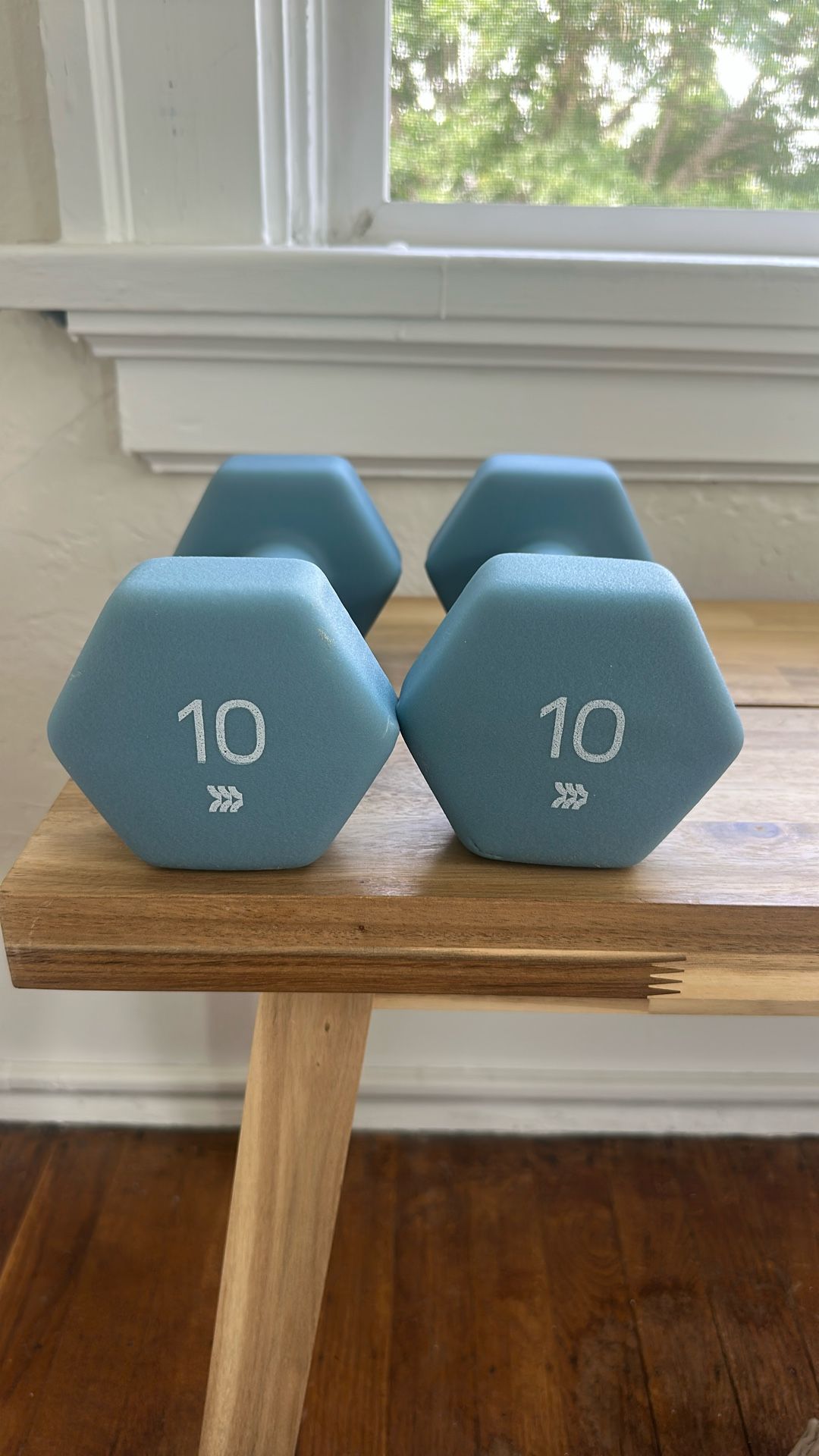 10lb Dumbbells Set Of 2
