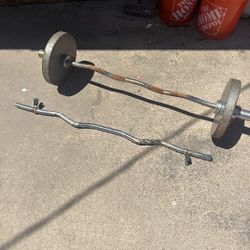 Weights Curl Bar