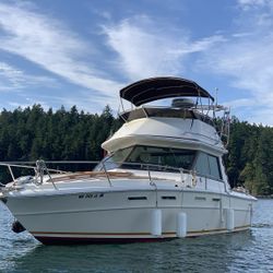 1977 Sea Ray SRV 300