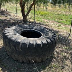 Free Tires For Goats