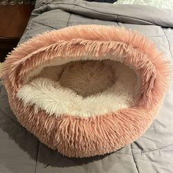  Cat Bed