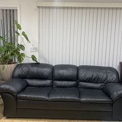 Sofa/ Couch