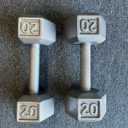 20 lb dumbells weights