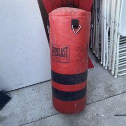 Kids Punching Bag