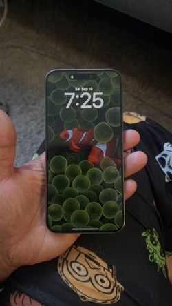 iPhone 15 pro max
