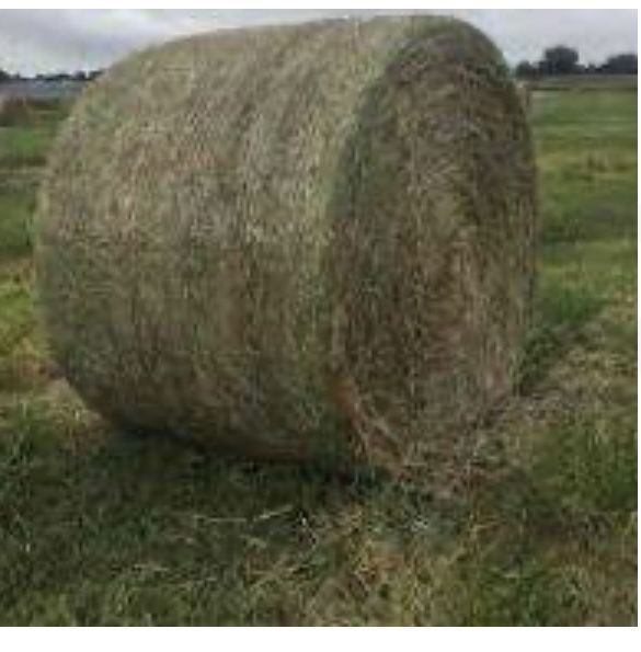 Hay Bails Dry Round