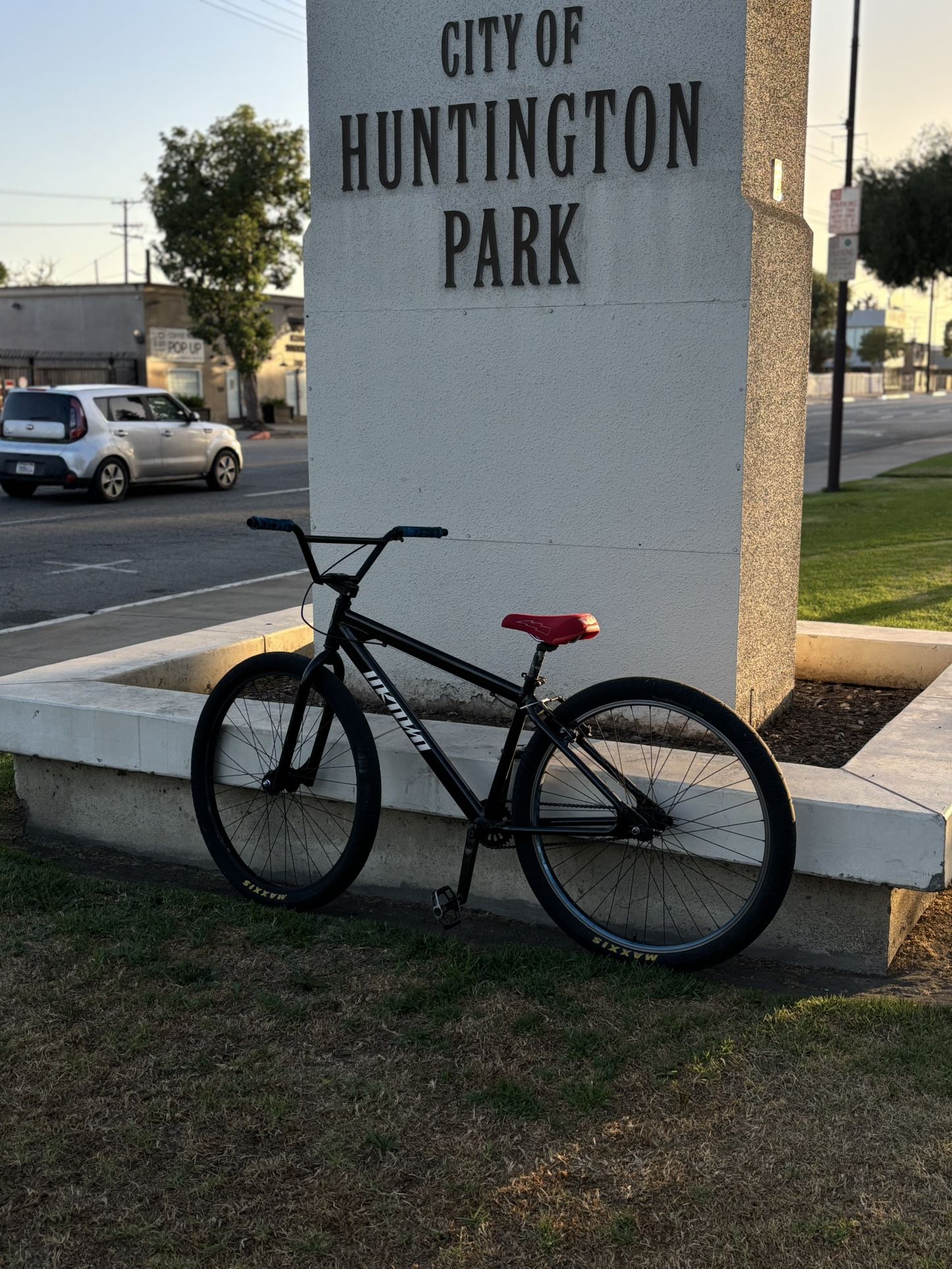 Unknown 29er