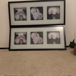 Flower Picture Frames