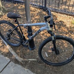 Schwinn Alcomp