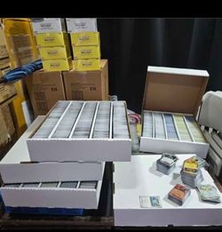  Pokemon Scarlet Violet  Regular  Bulk None Holo