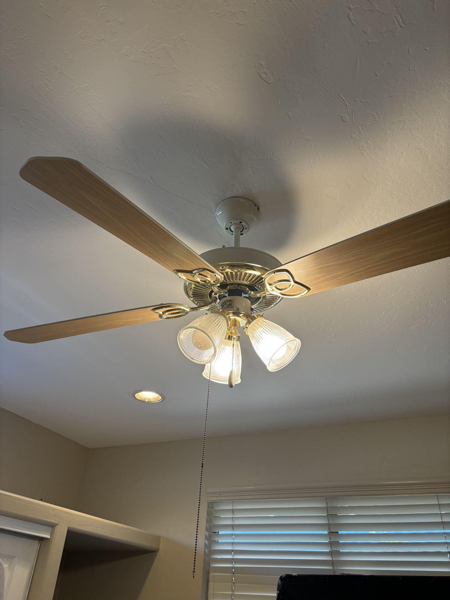 Fan