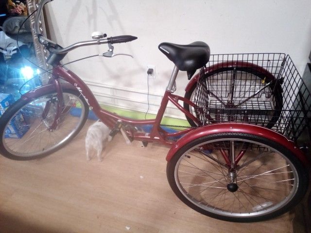 Schwinn Meridian Bike
