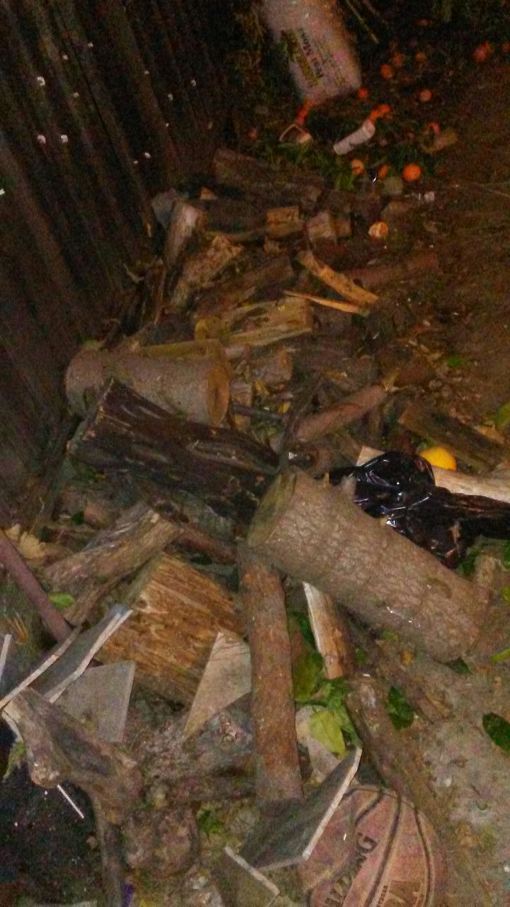 Free firewood