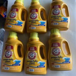 Arm & Hammer Detergent Bundle